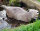 NATURFOAM Biber - flottant