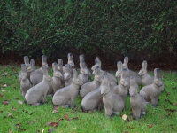 NATURFOAM Hase - sitzend