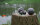 NATURFOAM NaturBall - gross - Ø18cm