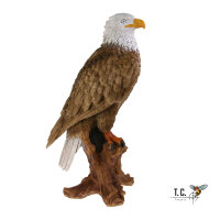 TC Targets - Adler Horst