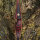 JACKALOPE - Red Beryl - 64 Pouces - Arc hybride - 25-50 lbs