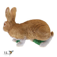 TC Targets - Rudi Hase