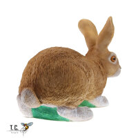 TC Targets - Rudi Hase