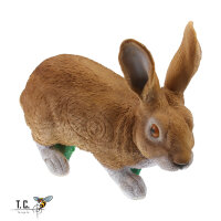 TC Targets - Rudi Hase