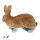 TC Targets - Rudi Hase