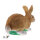 TC Targets - Rudi Hase