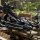 [SET] X-BOW FMA Scorpion I - 375 fps / 175 lbs - Compoundarmbrust