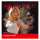 DVD Arc %E0 poulies ABC