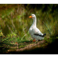 CENTER-POINT 3D Ente - Made in Germany