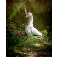 CENTER-POINT 3D Ente - Made in Germany