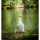 CENTER-POINT 3D Ente - Made in Germany