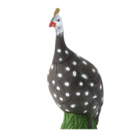 IBB 3D pintade