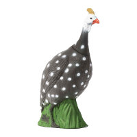 IBB 3D pintade