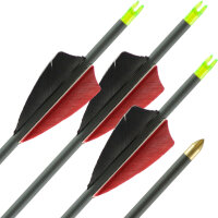 41-55 lbs | Carbonpfeil | LithoSPHERE Black - mit Naturfedern | Spine 400 | 32 Zoll