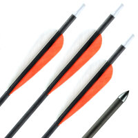 41-55 lbs | Carbonpfeil | GOLD TIP Warrior - mit...