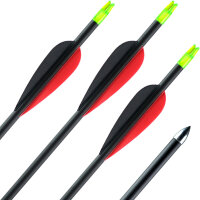 41-55 lbs | Carbonpfeil | ExoSPHERE Prime - mit Vanes | Spine 400 | 32 Zoll