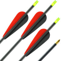 41-55 lbs | Carbonpfeil | LithoSPHERE Black - mit Vanes | Spine 400 | 32 Zoll