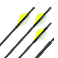 31-35 lbs | Flèche en carbone | GOLD TIP Warrior -...