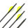 31-35 lbs | Flèche en carbone | GOLD TIP Warrior - avec vanes | Spine 600 | 32 pouces