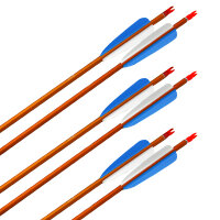 41-50 lbs | Aluminiumpfeil | BLACK STAR Premium | Spine 2219 | 32 Zoll