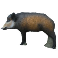 SRT Jeune sanglier