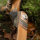 JACKALOPE - Tourmaline - 62 Pouces - Arc recourbé Take Down - 20-50 lbs