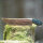 elTORO Brass Horn - Damast - Jagdmesser - 12,5cm - inkl. Lederscheide