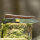 elTORO Brass Horn - Damast - Jagdmesser - 12cm - inkl. Lederscheide