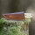 elTORO Skinner Bone - couteau à peau en acier damassé - 8,5cm - fourreau cuir inclus