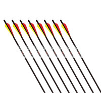 GOLD TIP Swift - Carbonbolzen - Flatnock - 18 Zoll