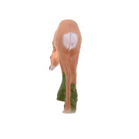 IBB 3D Chevreuil - broutant