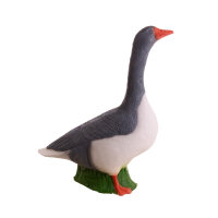 IBB 3D Oie cendrée