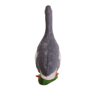 IBB 3D Oie cendrée