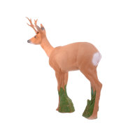IBB 3D Chevreuil