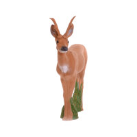IBB 3D Chevreuil