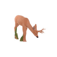 IBB 3D Chevreuil - broutant