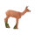 IBB 3D Biche