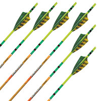 Flèche complète | BLACK EAGLE Instinct .005 - carbone - emplumé en usine - pack de 6