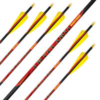 Flèche complète | BLACK EAGLE Outlaw .005 -...