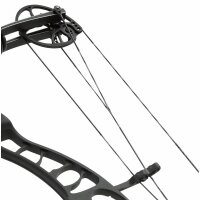FLEX ARCHERY - Câbles et Corde Full Custom pour...