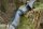 JACKALOPE - Moonstone - 60 Pouces - 30-60 lbs - Arc recurve ou hybride take down
