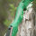 Poignée | JACKALOPE - Malachite - 19 pouces - ILF