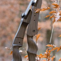 [SPÉCIALE] DRAKE Dark Chocolate - Take Down - 62-70 pouces - Arc recurve - 18-38 lbs