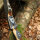 JACKALOPE - Onyx - 64 pouces - Arc hybride - 45 lbs | Main gauche