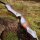 JACKALOPE - Onyx - 62-68 pouces - 20-60 lbs - Arcs recurves T/D