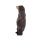 IBB 3D Petit ours noir
