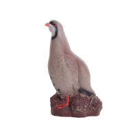 IBB 3D Perdrix bartavelle - Coq