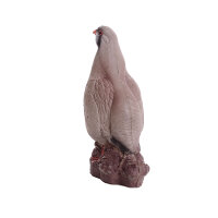 IBB 3D Perdrix bartavelle - Coq