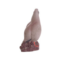 IBB 3D Perdrix bartavelle - Coq