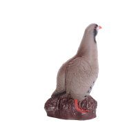 IBB 3D Perdrix bartavelle - Coq